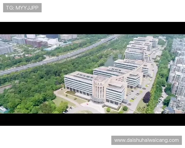 凯发集团k8：用户体验优化与客户服务提升策略