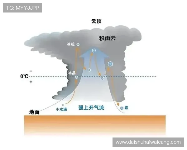 闪电 21 点:闪电发生的科学原理及其在天气预报中的应用