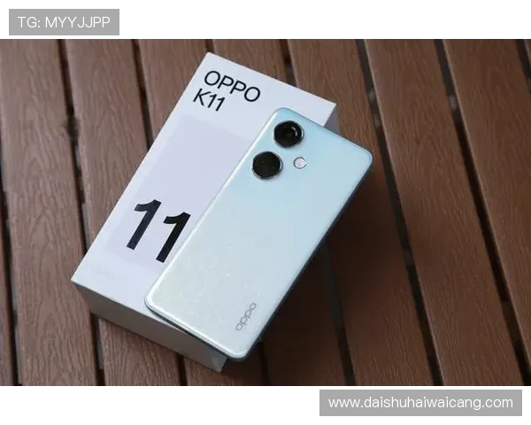 k8凯发旗舰厅最新版本下载与安装教程，详细步骤帮助新手快速上手畅玩无忧