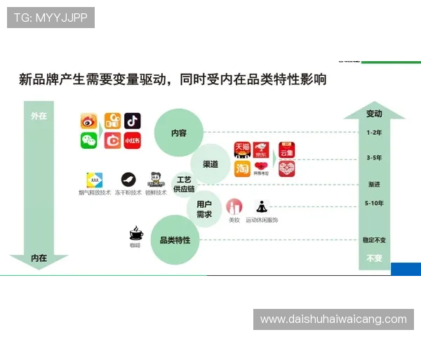 凯发电投网站官网用户访问量持续增长，彰显品牌影响力不断扩大